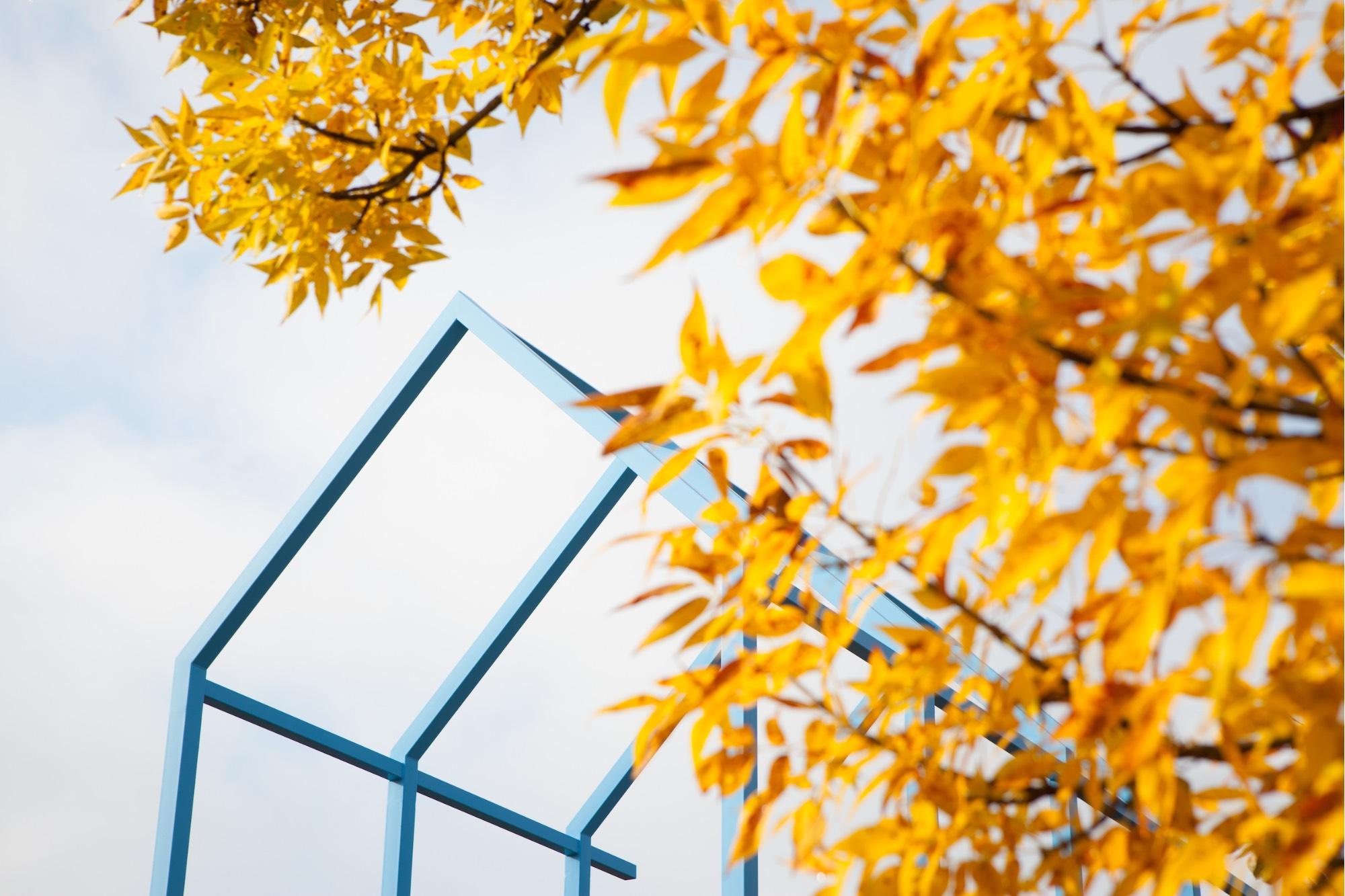 Fall Arch